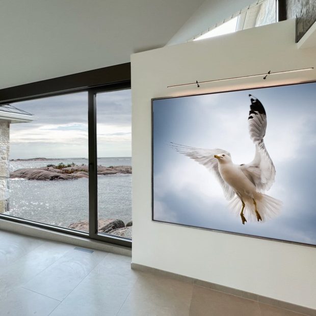 918BD5A0-33CF-4782-BBF6-7FA3D79F5342 (3)