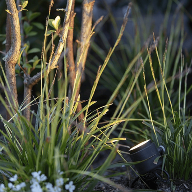 Accent Lighting Screen Shot 2025-03-28 at 2.30.11 PM