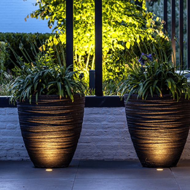 IN Grade Screen Shot 2025-03-28 at 3.15.25 PM