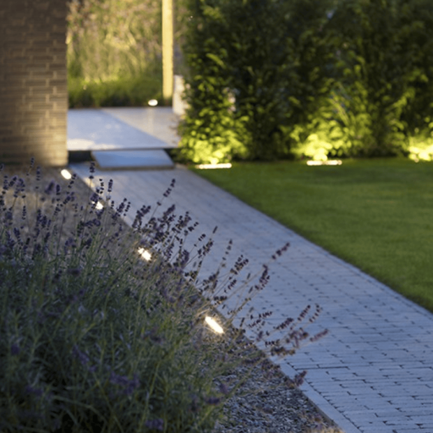 Path Screen Shot 2025-03-28 at 3.05.29 PM