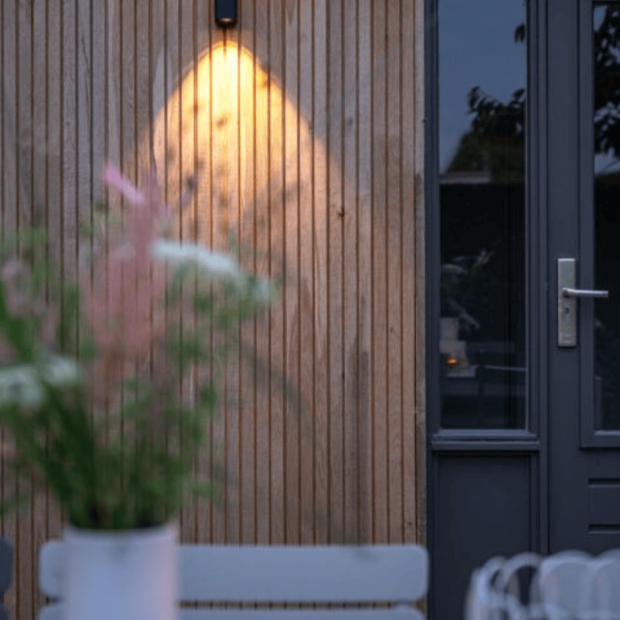 Wall 2 Screen Shot 2025-03-28 at 3.25.49 PM